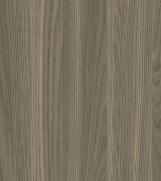 Grey Elm by LAMITEX