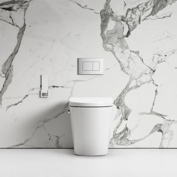 Intellismart Back To Wall Rimless Toilet Bidet Concealed Cistern and Polished Nickel Flush Plate by LUSSO