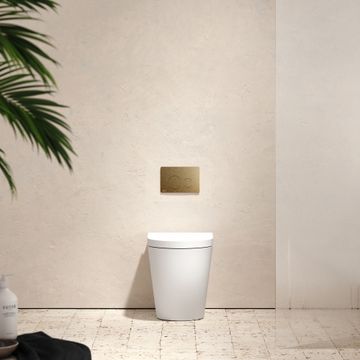 Senza Back To Wall Rimless Toilet with Concealed Cistern and Round Flush Plate by LUSSO