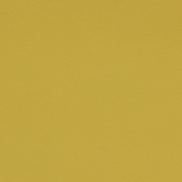Bask 028 Ginkgo by Maharam - view 2