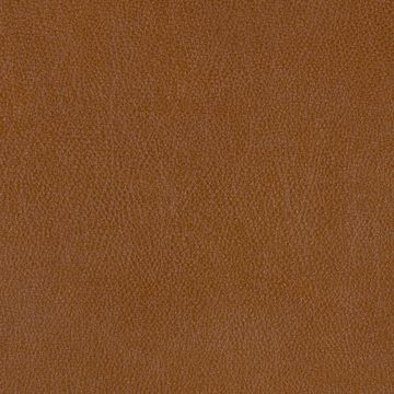 Press 001 Primal by Maharam