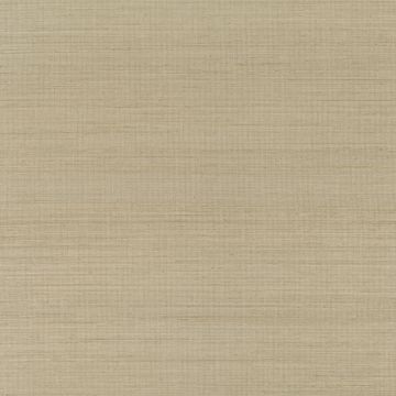 Abaca Parchment by Mark Alexander