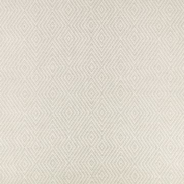 Angles Silverbirch by Mark Alexander
