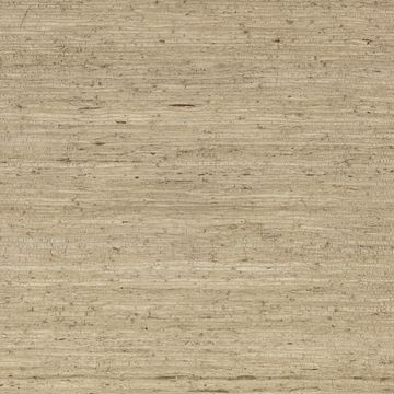 Arrowroot Wallcovering Parchment by Mark Alexander