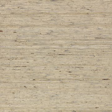 Arrowroot Wallcovering Tempest by Mark Alexander