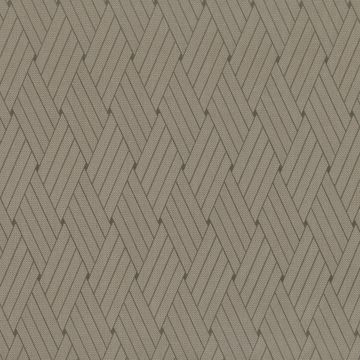 Barbier Bronze by Mark Alexander