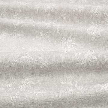 Bonsai Silverbirch by Mark Alexander - view 3