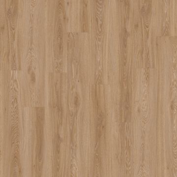 Blackjack Oak 22450 by Moduleo