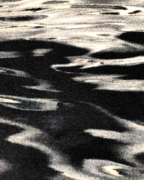 Fluid Carpet  by Moooi