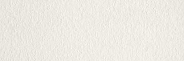Mosa Cool Porcelain White 8 x 24 inch Tile (200RL2060-D) by Mosa