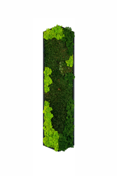 HEXAD by Muratto - view 5