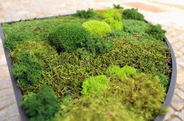 QUADRANT by Muratto - view 3