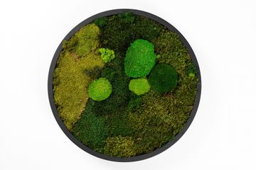 RING by Muratto - view 2