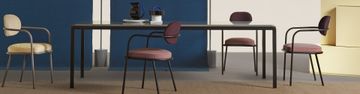 Sedie & Sgabelli by My Home Collection