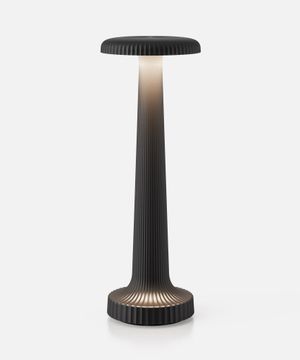 Get Tall Poppy Designer Lamp | Unique Cordless Table Lighting by NEOZ Lighting