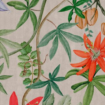 UON-11 Passiflora by NLXL - view 2