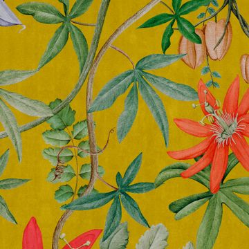UON-11 Passiflora by NLXL - view 5