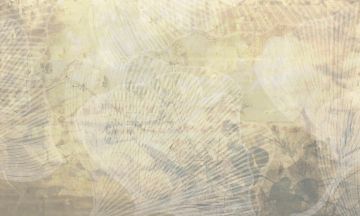 Ginkgo by Officinarkitettura®
