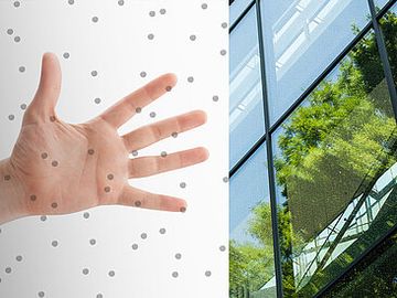 Bird protection glass by OKALUX - view 5