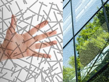 Bird protection glass by OKALUX - view 7