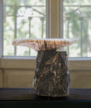 Chanterelle, stool by On Entropy - view 2