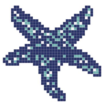 Estrella De Mar 2 by ONIX​