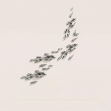Anodine Imago by Paolo Castelli - view 2
