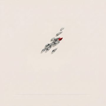 Anodine Imago by Paolo Castelli - view 3