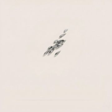 Anodine Imago by Paolo Castelli - view 4