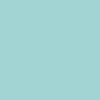 U18503 by Pfleiderer