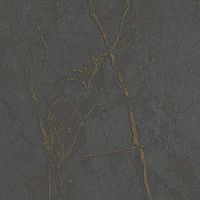 S63067 by Pfleiderer