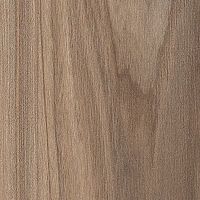 R37030 by Pfleiderer - view 2