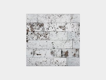 Luxury Modul Silver 12"X11" by Porcelanosa