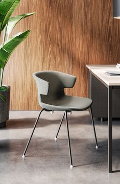 Cove by Quadrifoglio Group