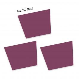 RAL350 30 40TrockenblumenpurpurDried flower purple by ralFarben - view 2