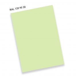 RAL120 90 30EiskaltgrünIce-cold green by ralFarben - view 5