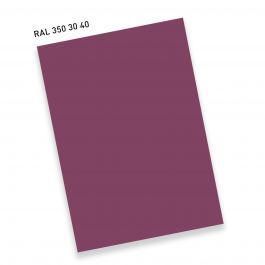 RAL350 30 40TrockenblumenpurpurDried flower purple by ralFarben - view 4
