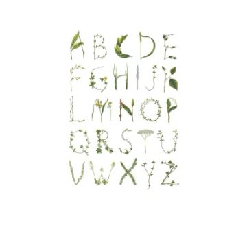 ABC for the spelling bee by Rebel Walls - view 5