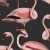 Flamingos, Liquorice by Rebel Walls - view 4