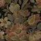 Garden Charm, Summer by Rebel Walls - view 4
