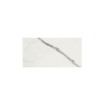 Italian Statuary 6x12 Marble | Honed by Riad Tile - view 2