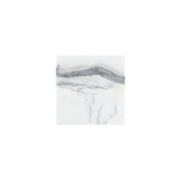 Italian Statuary 6x6 Marble Tile | Honed by Riad Tile - view 2