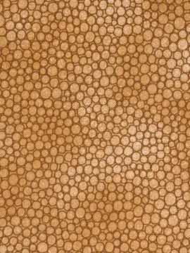 Butternut Geometric Print Fabric - Upholstery by Robert Allen