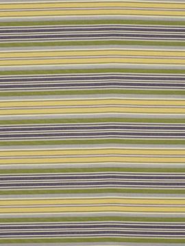 Cornflower Striped Cotton Print Fabric - Upholstery by Robert Allen