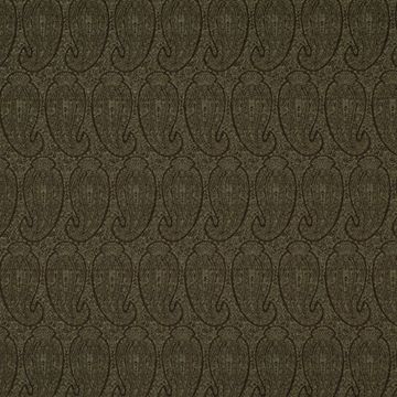Eco Paisley Upholstery Fabric - Nightshade by Robert Allen