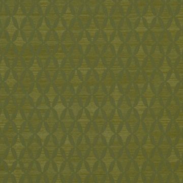 Geometric Upholstery Fabric Lichen - ECO TIME by Robert Allen