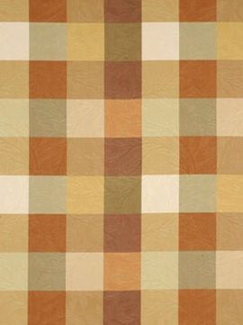 Honey Check Print Fabric - Upholstery & Curtains by Robert Allen