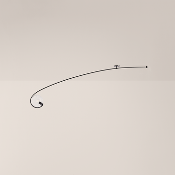 Fiddlehead | Cantilever | Jason Miller by Roll & Hill