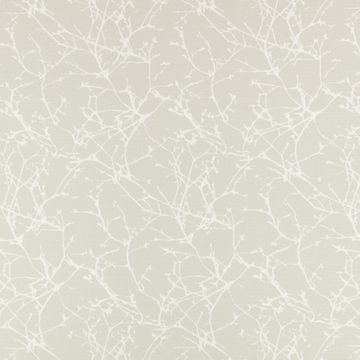 Acacia Shell by Romo