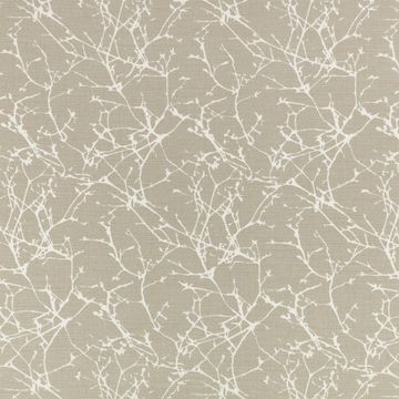 Acacia String by Romo